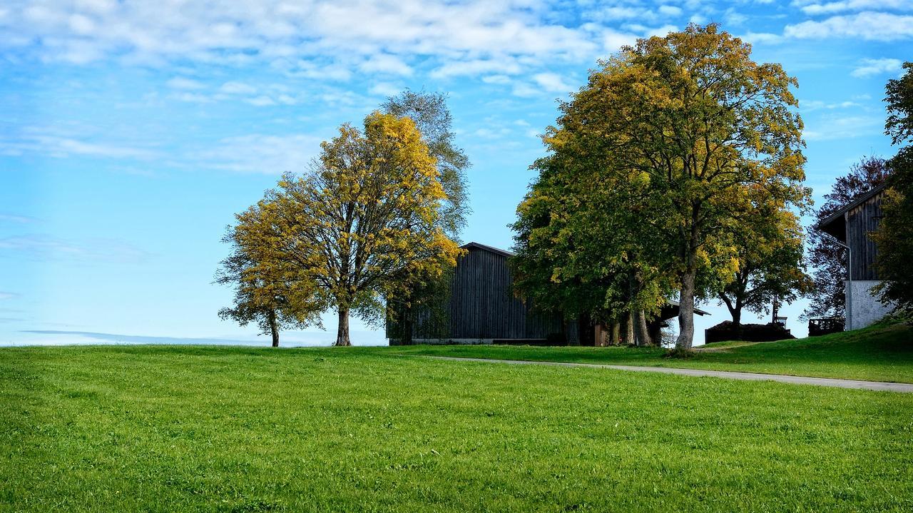Ferienhaus Chiemgauer Auszeit- Chiemgaukarte Inclusive Siegsdorf Exterior foto